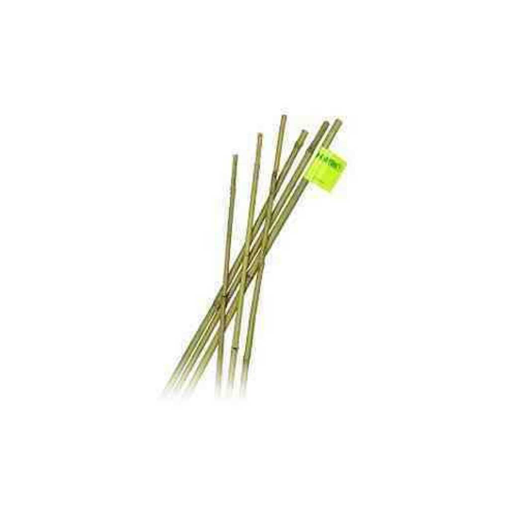 Tutor de bambú natural 2,10m