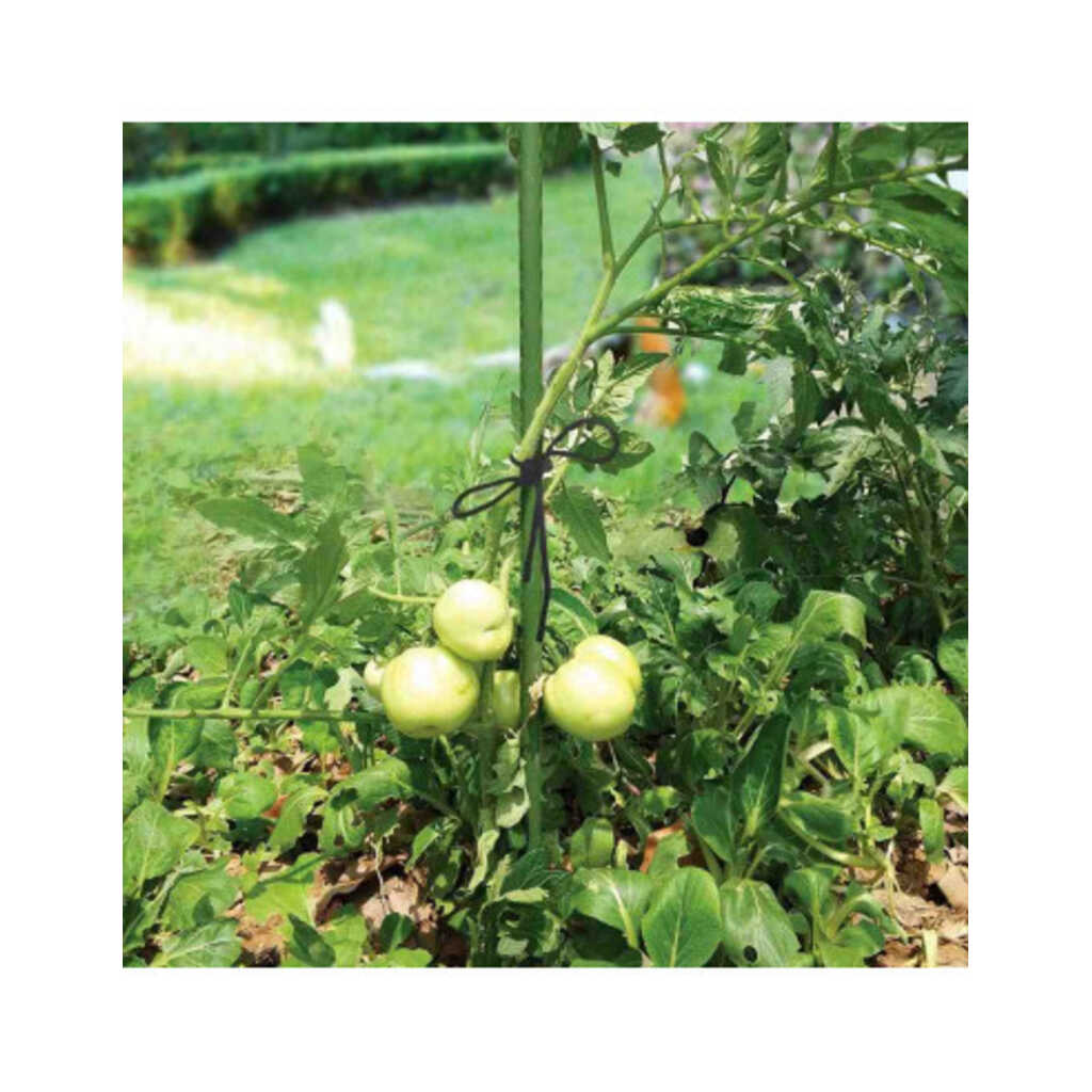 Tutor prolongable de acero plastificado 60cm_1