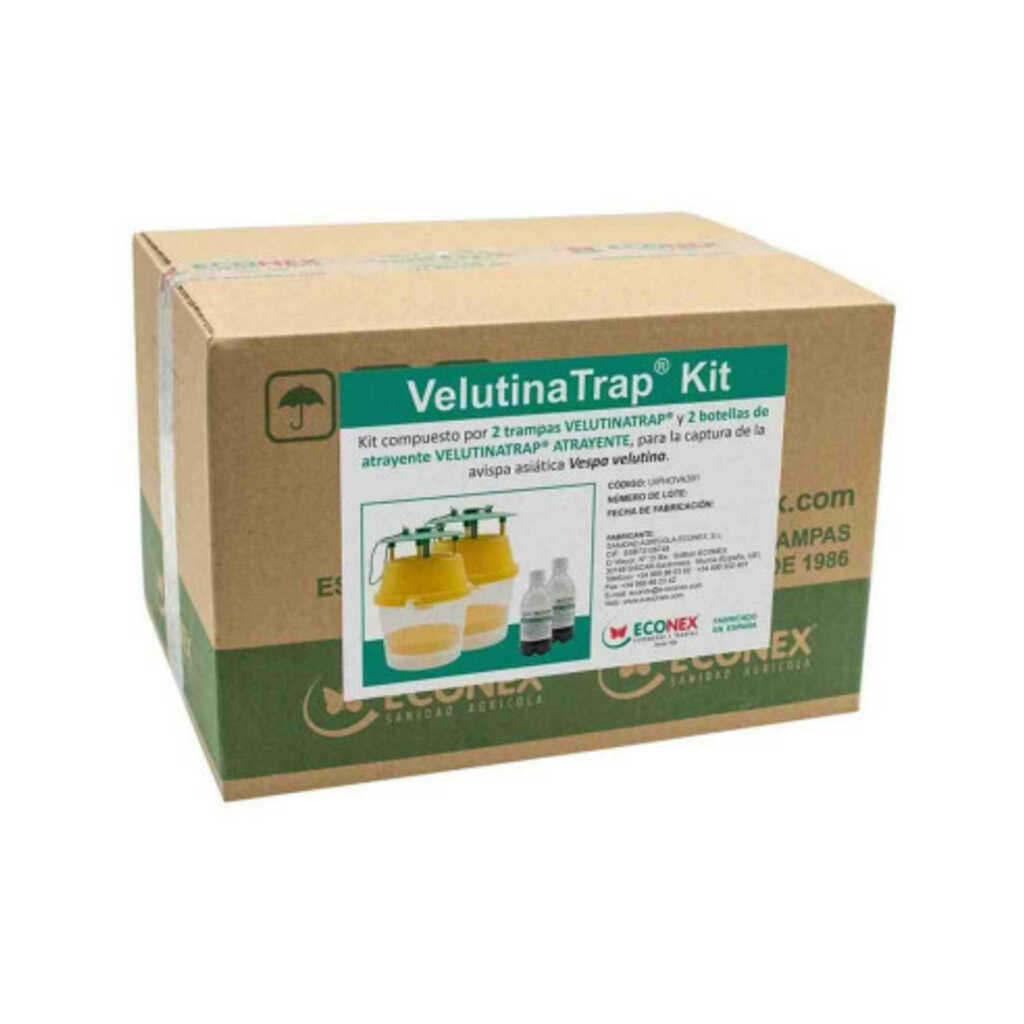 Velutinatrap Kit de captura de la avispa asiática (Velutina) 2 unid.