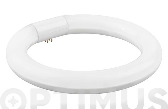 TUBO FLUORESCENTE LED CIRCULAR T-9 30CM LUZ FRIA 20W