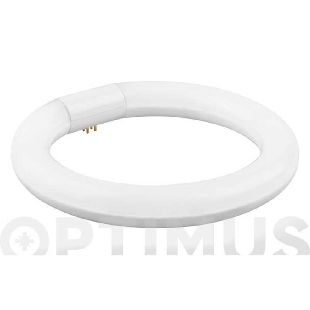 TUBO FLUORESCENTE LED CIRCULAR T-9 30CM LUZ FRIA 20W