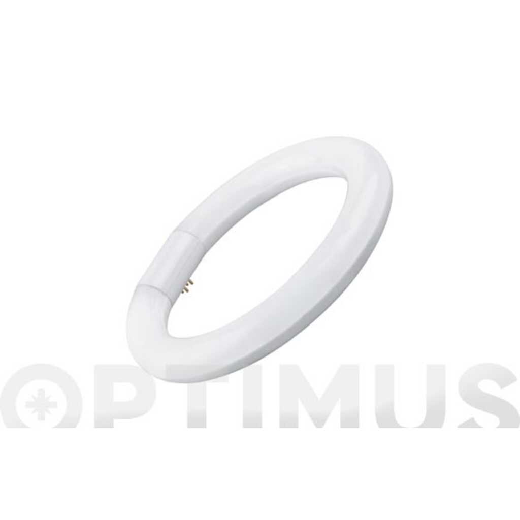 TUBO FLUORESCENTE LED CIRCULAR T-9 22CM LUZ FRIA 15W
