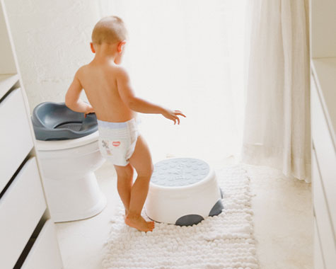 Bumbo Step n Potty