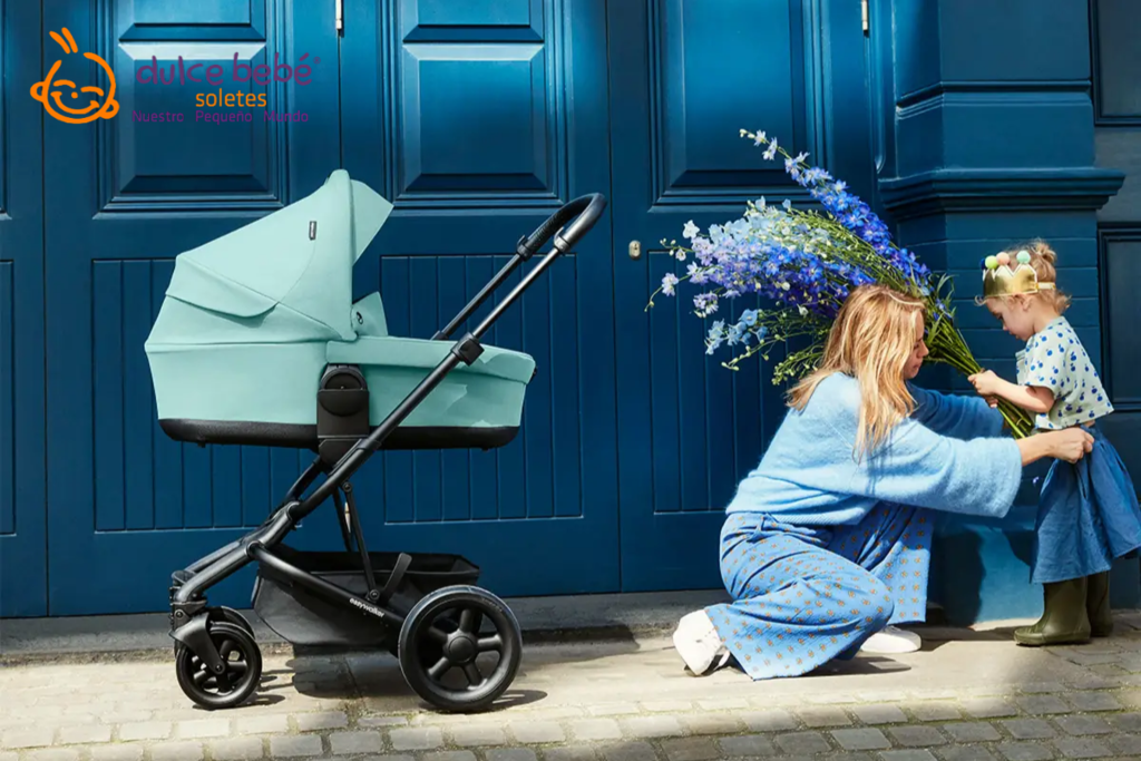 Carritos y sillas de paseo EasyWalker en Dulcebebesoletes