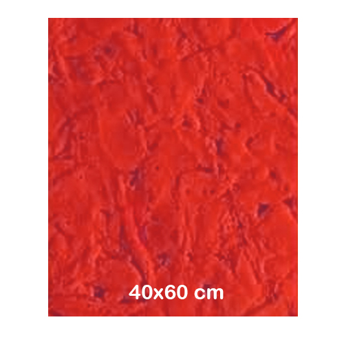 GOMA EVA PRENSADA DE 40X60 ROJO