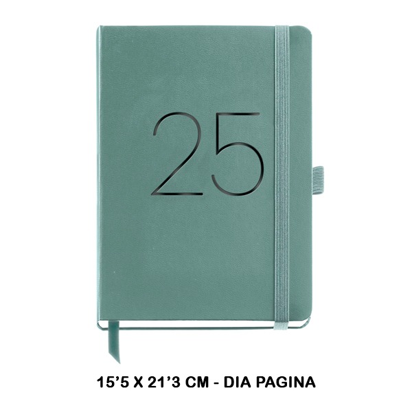 AGENDA PLUS D/P CHESTER RIG VERDE 2025
