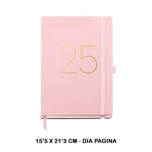 AGENDA PLUS D/P CHESTER RIG ROSA  2025