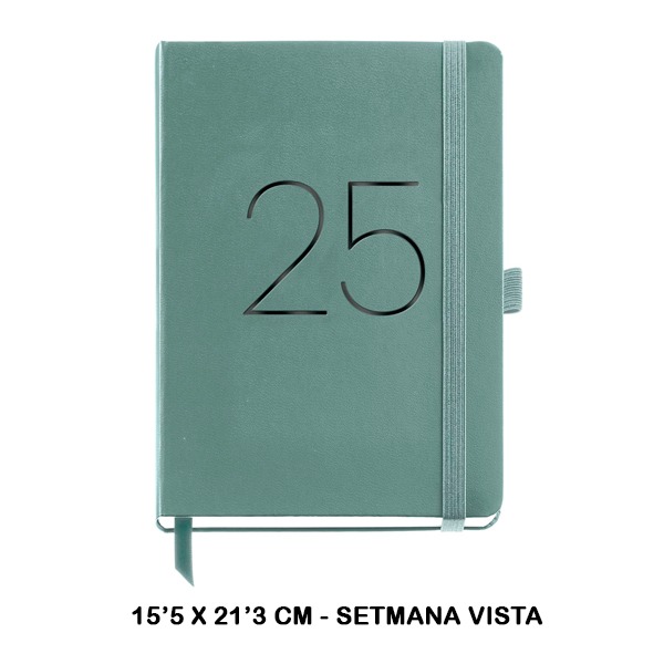 AGENDA PLUS S/V CHESTER RIG VERDE 2025