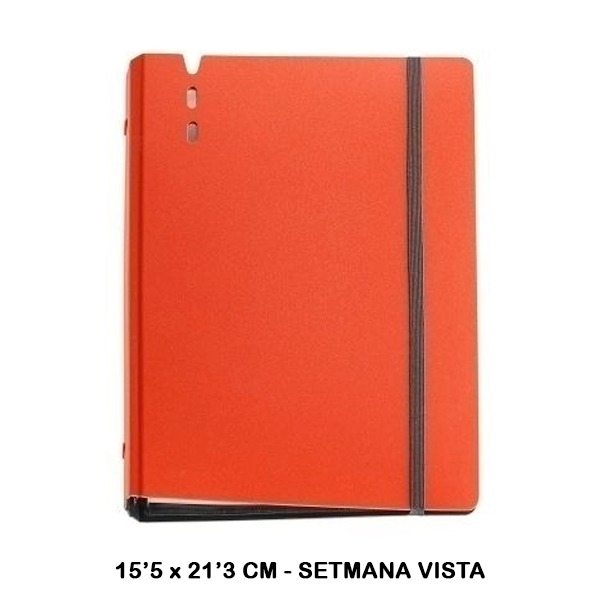 AGENDA ANILLAS PLUS S/VV TEJA 2025