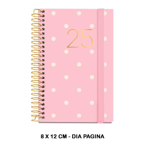 AGENDA ESPIRAL CADDY D/P POLKA DOTS 202