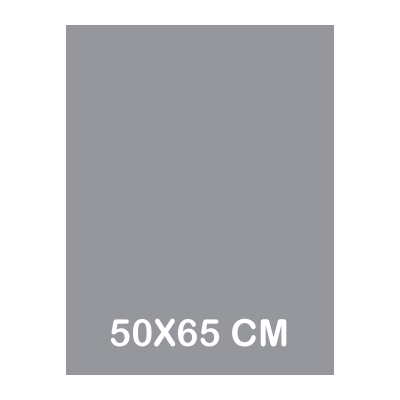 CARTULINA IRIS 50X65CM 185GR GRIS PLOMO