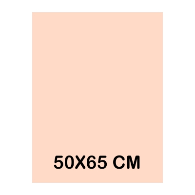 CARTULINA IRIS 50X65CM 185GR CARNE