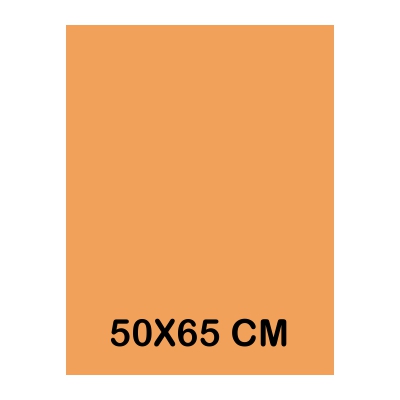 CARTULINA IRIS 50X65CM 185GR CUERO