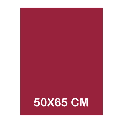 CARTULINA IRIS 50X65CM 185GR GRANATE