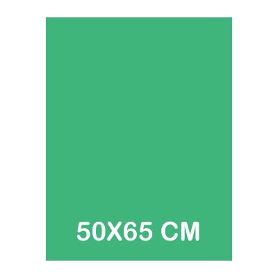 CARTULINA IRIS 50X65CM 185GR VERDE MENT
