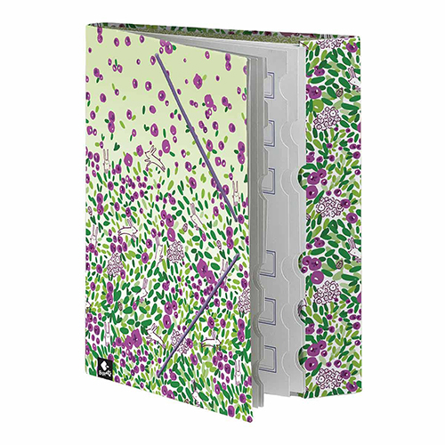 CARPETA CON SEPARADORES