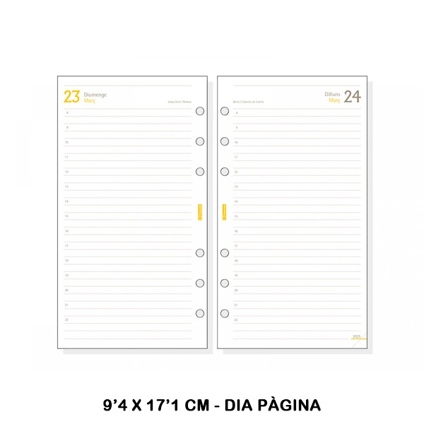 RECAMBIO C998C ANUAL 609 1DP 2025