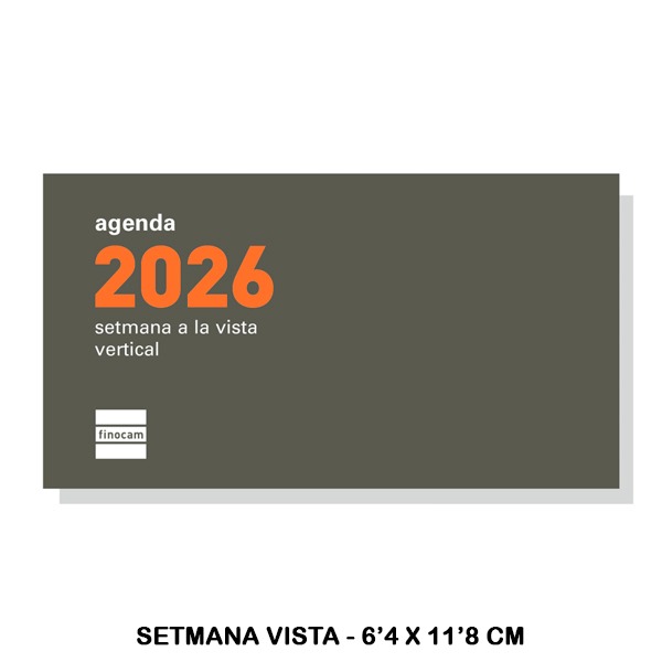 RECAMBIO ANUAL PL1 SVV 2026 P119C