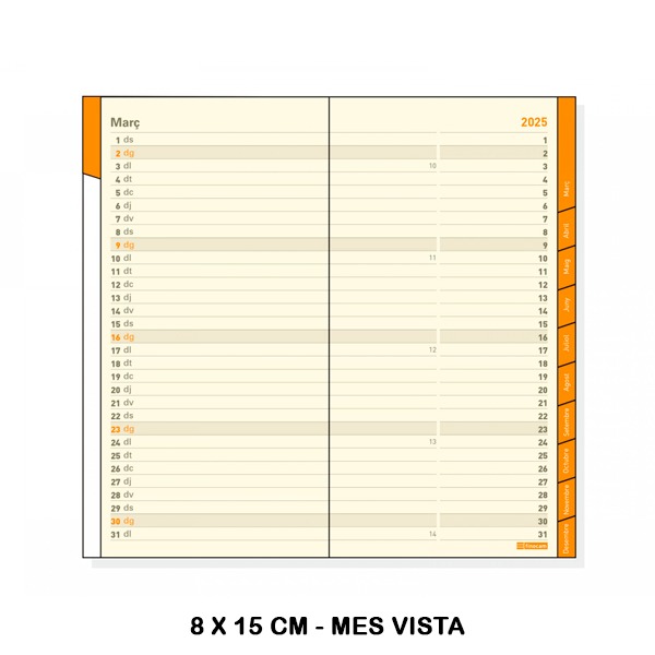 RECAMBIO P497C ANUAL PL4 MV 2025
