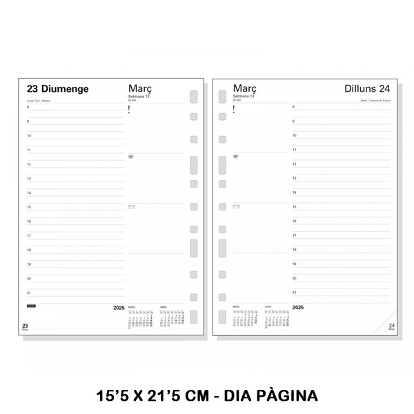 RECAMBIO ANUAL 3002 1DP 2025