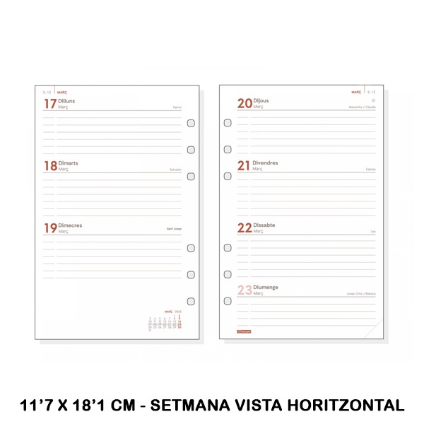 RECAMBIO R593C ANUAL 500 SVH 2025