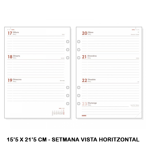 RECAMBIO R1093C ANUAL 1000 SVH 2025