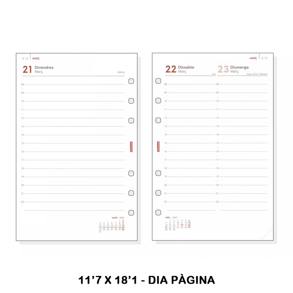 RECAMBIO R598C ANUAL 500 1DP 2025
