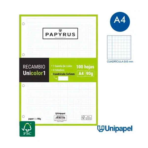 RECAMBIO PAPYRUS A4 100H 90GR 5X5  LIMA