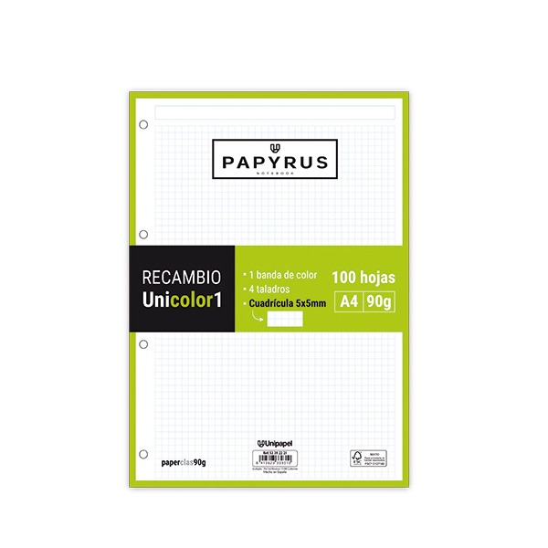 RECAMBIO PAPYRUS A4 100H 90GR 5X5  VERDE