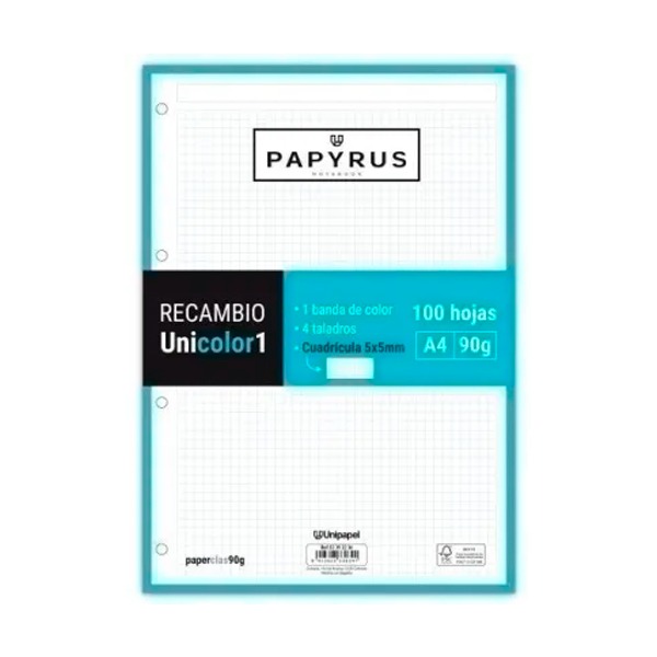 RECAMBIO PAPYRUS A4 100H 90GR 5X5  TURQ