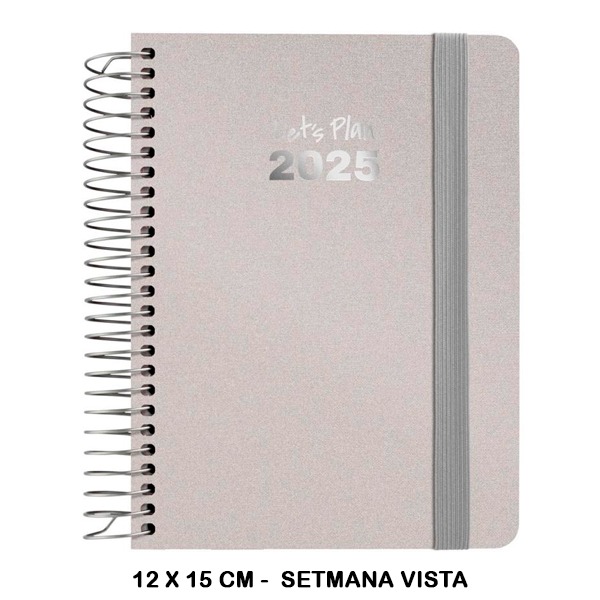 AGENDA 25 S/V A6 METALLIC PLATA
