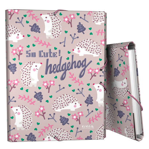 CARPETA 3 SOLAPAS EC 21 HEDGEHOG