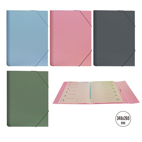 CARPETA CLASIFICADORA LIGHT SURTIDO