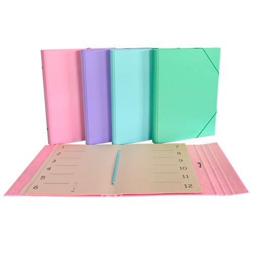 CARPETA CLASIFICADORA C/SOL.12DEP.PASTEL