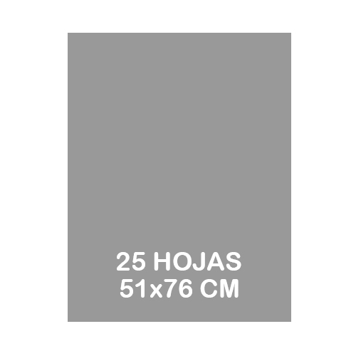 PAQUETE 25 HOJAS SEDA 51X76CM PLATA