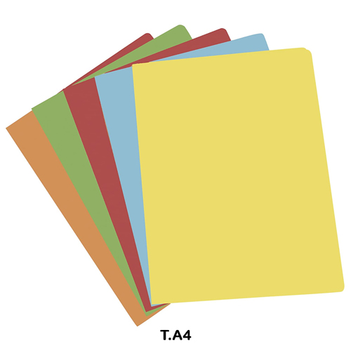 PACK 50 SUBCARPETAS A4 5 COLORES INTENS