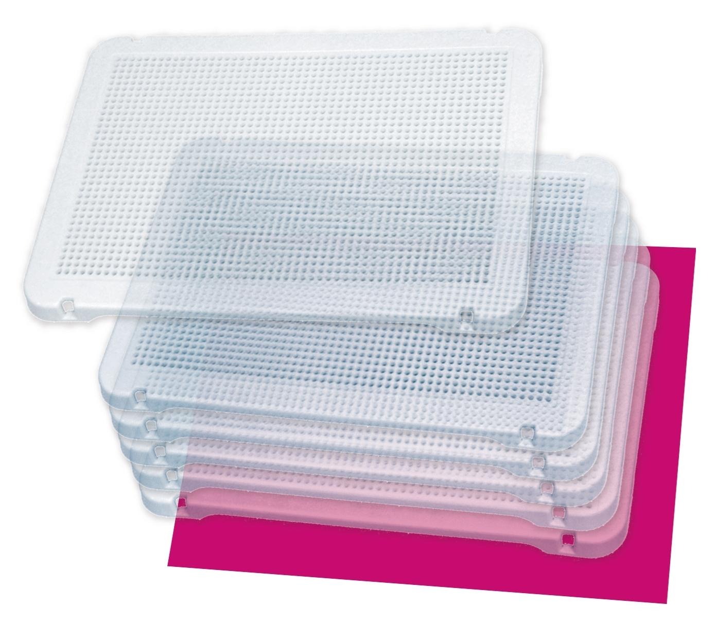 PACK 6 PLACAS TRANSPARENTES PARA PINCHOS