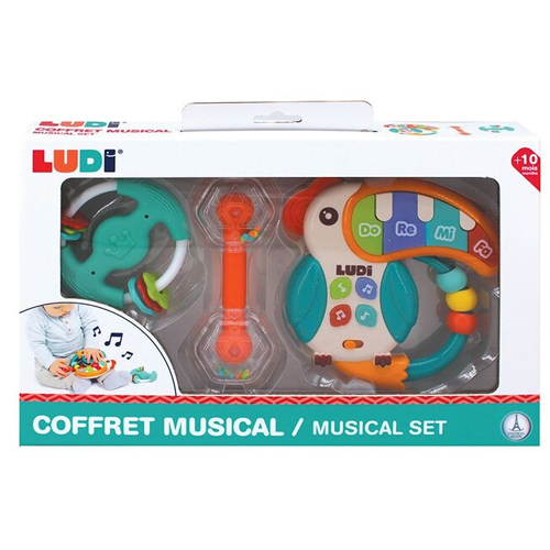 CONJUNTO MUSICAL