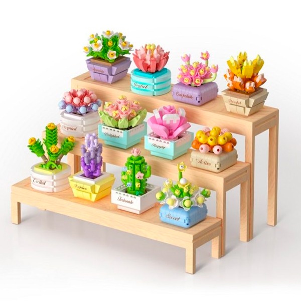 KOCO PLANTAS SUCULENTAS