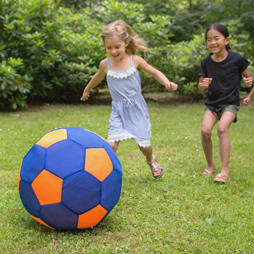 PELOTA GIGANTE