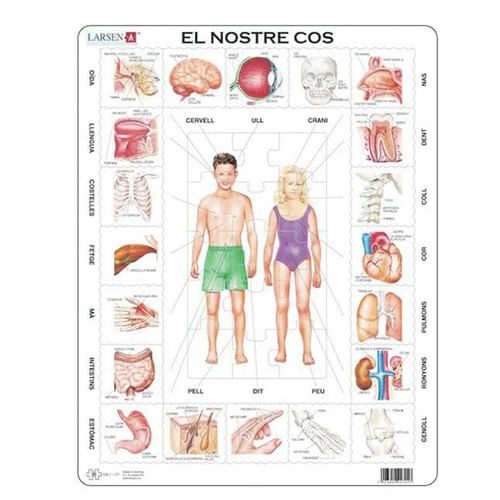 PUZLE CUERPO HUMANO