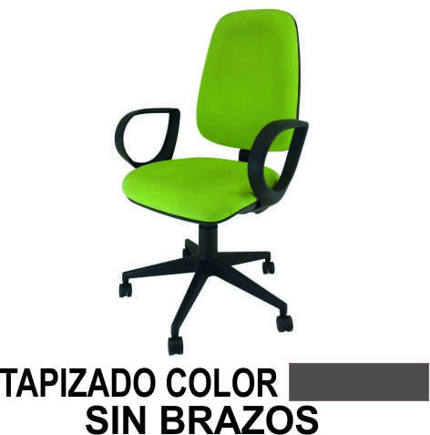 SILLA MEDICAL C.PERM. S/BRAZOS T1 GRIS
