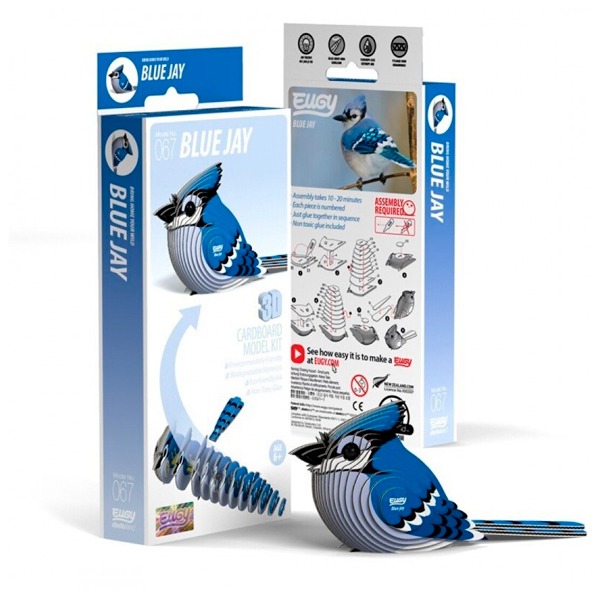 EUGY BLUE JAY