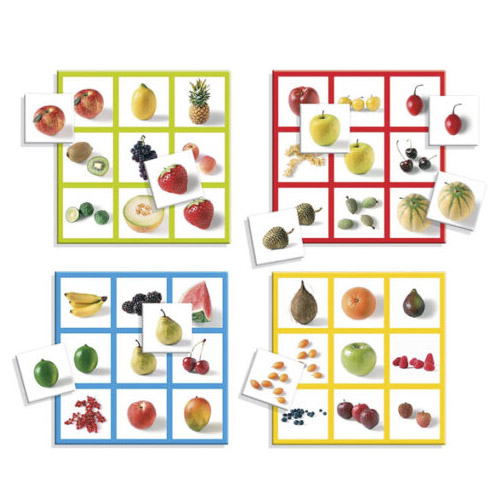 LOTO PHOTO FRUITS