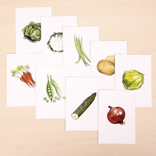 MURO FICHAS VEGETALES