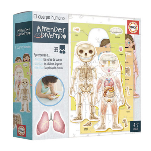 EL CUERPO HUMANO