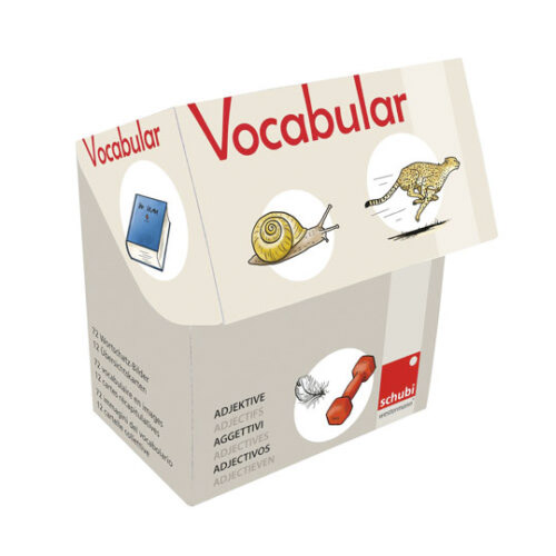 VOCABULARIO ADJETIVOS