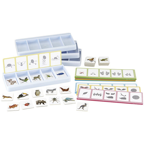 TALLER DE CLASIFICACION: LOS ANIMALES