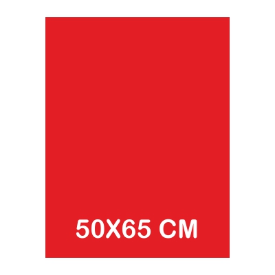 CARTULINA FLUORESCENTE 50X65CM ROJA