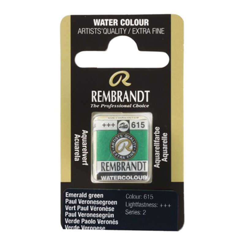 ACUARELA REMBRANDT PASTI.VERDE VERONES